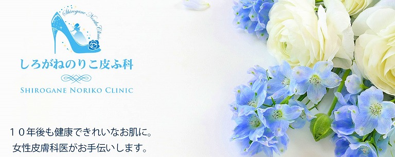 しろがねのりこ皮ふ科