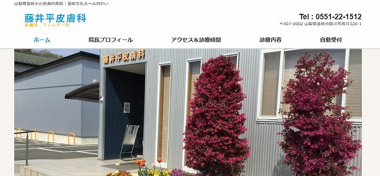 藤井平皮膚科